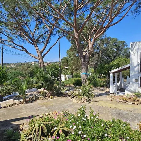Quinta Do Lagar - Rural Retreat By The #6 Villa *