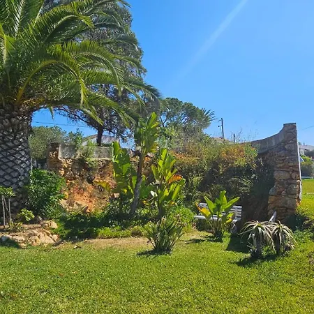Villa Quinta Do Lagar - Rural Retreat By The #6 Albufeira