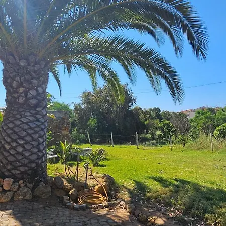 Villa Quinta Do Lagar - Rural Retreat By The #6